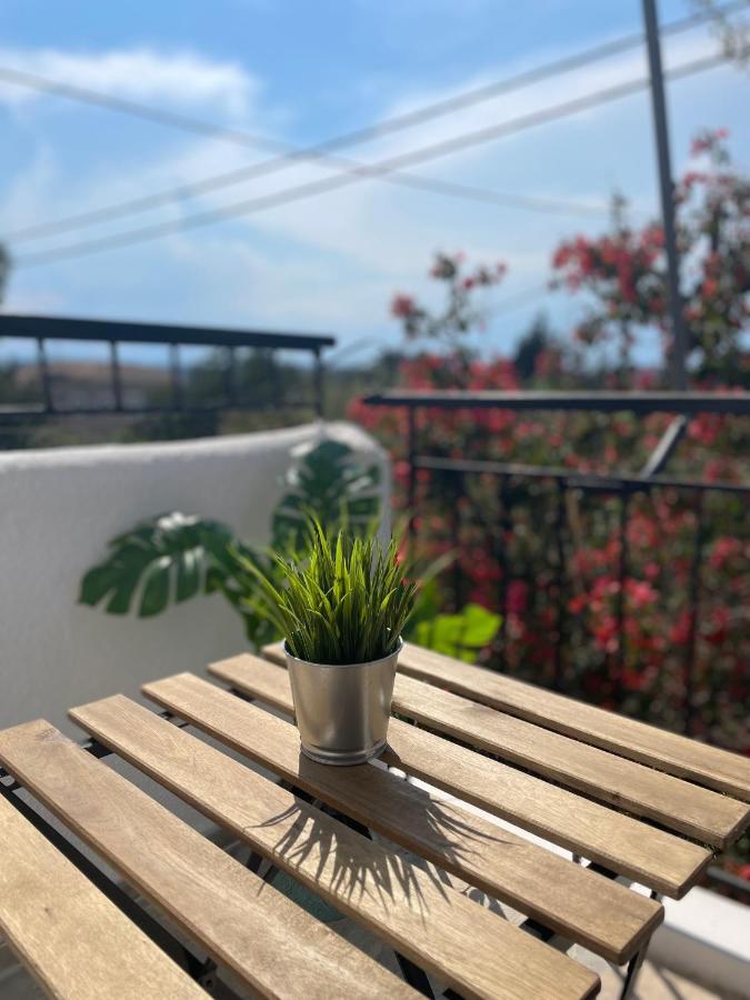 Cozy Apartmán *